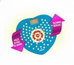 Filtro desodorante para urinales Iberia HigienicPro fragancia Lavanda, color violeta, diseño antisalpicaduras, pack x36.