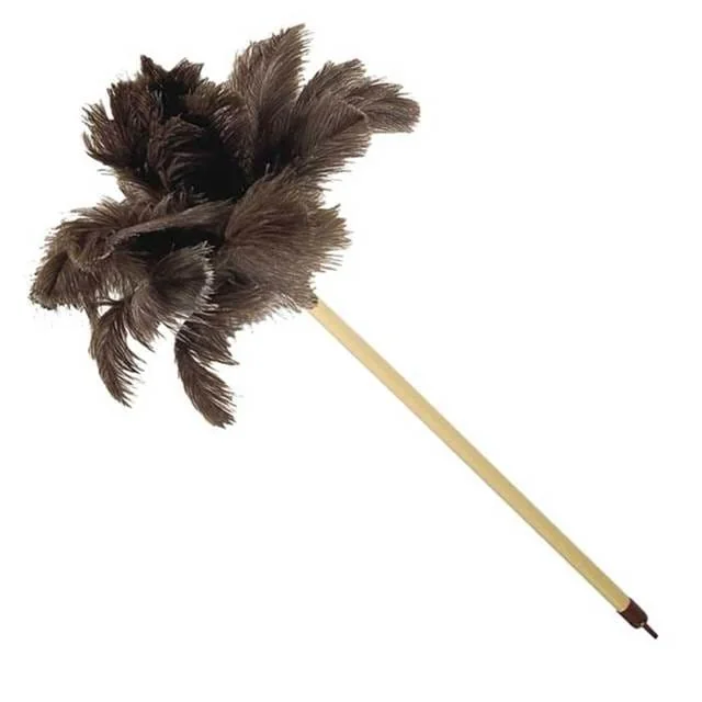 Ostrich Plumero Comun 22 (6)