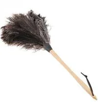 Ostrich Plumero Comun 32 (12)